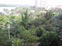 P1010026.JPG
