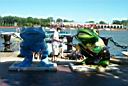 /toledo/P0002014.jpg: Frog's